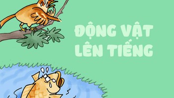 Động vật phóng sinh lên tiếng