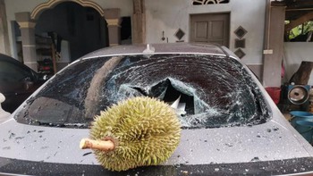 Bộ trưởng Malaysia mua quả sầu riêng 'chưa bao giờ chạm đất'