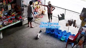 Cún cưng nghịch dại chui đầu vào ống lon
