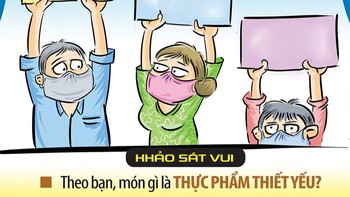 Khảo sát hàng thiết yếu trong gia đình