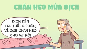 Chăn heo mùa dịch