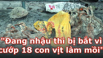 Vua Còm 11/8: Cướp 18 con vịt làm mồi nhậu, bị bắt khi đang phá mồi