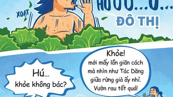 Hú hồn với chàng Tarzan đô thị