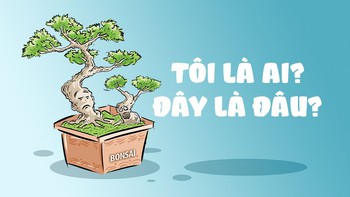 Nỗi niềm bonsai: Tôi là ai? Đây là đâu?