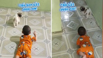 Đố anh bắt được em phiên bản cậu bé và cún cưng