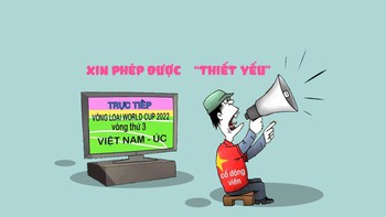 Cổ động viên xin phép được 'thiết yếu' trên sân nhà