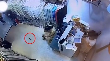 Cô gái hú hồn khi bị chuột bò vào trong váy