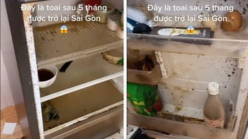 Chủ nhân khóc thét vì chiếc tủ lạnh sau 5 tháng trở lại Sài Gòn