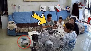 Cháu nó ở nhà ngoan lắm (P12)