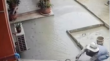 Thợ xây nổi quạu với chó cưng chủ nhà chạy trên sân bê-tông mới đổ