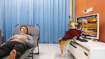 Chú chó đang chơi game nổi đóa vì chủ cúp điện