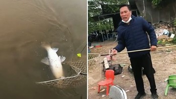 Cần thủ tiếc ngẩn ngơ khi để sổng con cá khủng