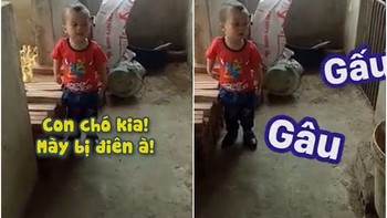 Bé trai cãi nhau với con chó cực hài