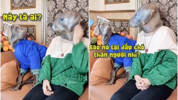Chú chó hoang mang khi bị cô chủ troll