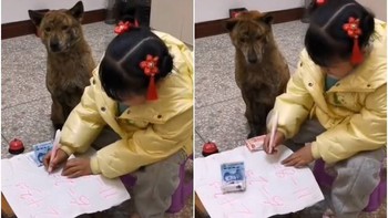 Chú chó giúp cô chủ giải toán