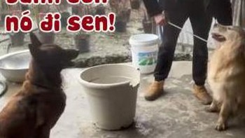'Tình nghĩa anh em chắc có bền lâu'