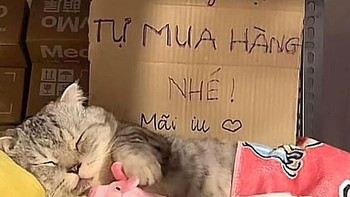 Ảnh vui 7/5: 'Nhân viên đang mệt, khách tự mua hàng nhé!'