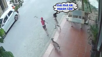 Bé trai hoảng hồn bỏ chạy với 'chó nhà em ngoan lắm'