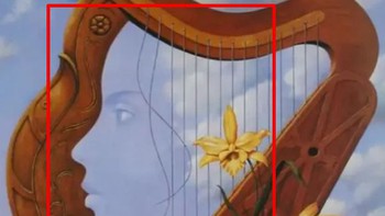 Bạn nhìn thấy gì đầu tiên?