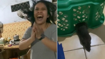 Cô gái mừng rỡ khi bắt được chuột