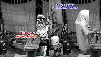Tên trộm lẻn vào nhà lấy đồ, phản ứng của chú chó làm gia chủ kinh ngạc