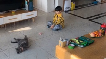 Thấy cậu chủ cho tiền, chú mèo mới chịu diễn sâu