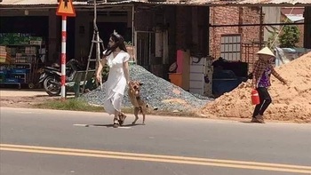 Ảnh vui 22-11: Chú chó bị cô dâu bắt về dự đám cưới của mình