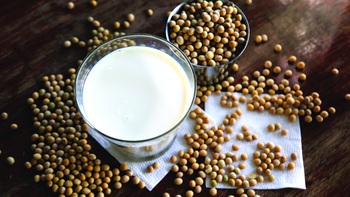 Estrogen: Hàng thiệt và hàng nhái