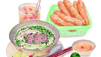 Màu phở trong tranh minh họa ẩm thực