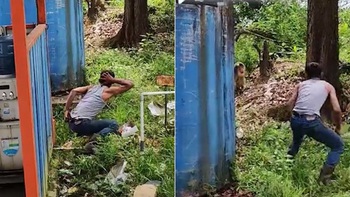 Chàng trai giả đười ươi hù khỉ