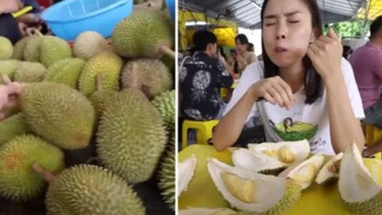 Thái Lan sáng tạo thành công giống sầu riêng 'hổng có thúi'