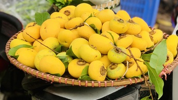 Mùa thu, mùa thơm, mùa thương