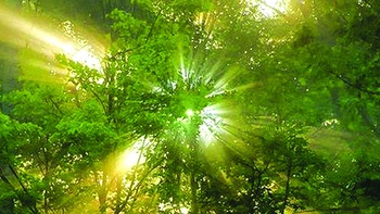 Đi dạo với mùa hè
