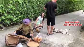 Chú chó đam mê làm diễn viên nhưng ai cũng ngăn cản