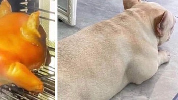Ảnh vui 18-9: Tìm điểm khác nhau giữa hai bức hình