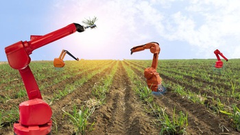 Robot làm đồng: phúc lành hay ác mộng của nhà nông?