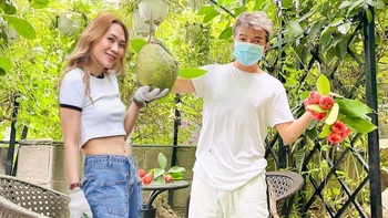 Đàm Vĩnh Hưng khoái chí khi được fan ghép ảnh ‘tình bể bình’ với Mỹ Tâm