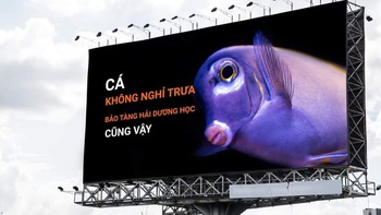 Ảnh vui 24/9: Thông báo mở cửa xuyên trưa sáng tạo như Bảo tàng Hải dương học