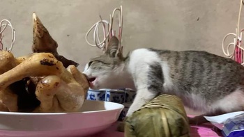 Loạt ảnh "cảm lạnh" mùng 1 Tết khiến dân tình cười rần rần