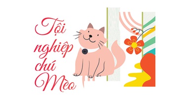 Tội nghiệp chú mèo