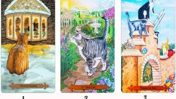 Tarot: Bạn cần làm gì để có hạnh phúc thực sự?
