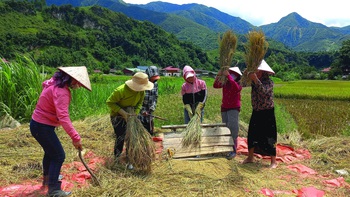 Ở với cả thế giới
