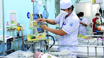 Khi nào có vắc xin ngừa sốt xuất huyết ở Việt Nam?