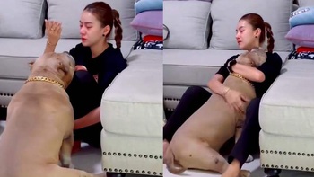 Chú chó đến động viên khi thấy cô chủ ngồi khóc