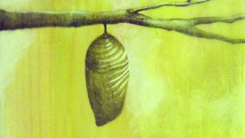 Vaysha mù (Một câu chuyện dang dở)