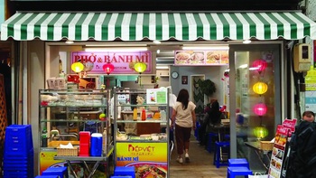Nửa thế kỷ quan hệ Việt - Nhật