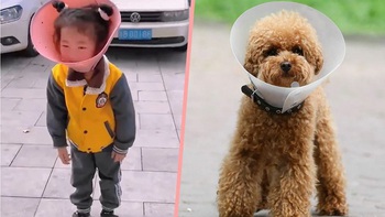 Ông nội đeo vòng cổ của chó cho cháu gái để cai nghiện điện thoại