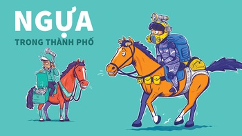 Cưỡi ngựa sao để không bị phạt?