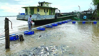 Bến nước Vàm Nao