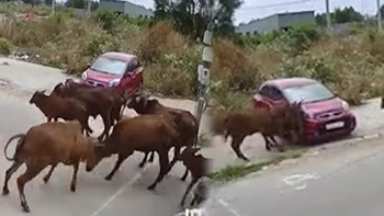 ‘Lamborghini’ đánh nhau, KIA Morning chịu đòn